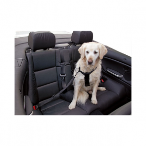 Car Dog Harness (1)